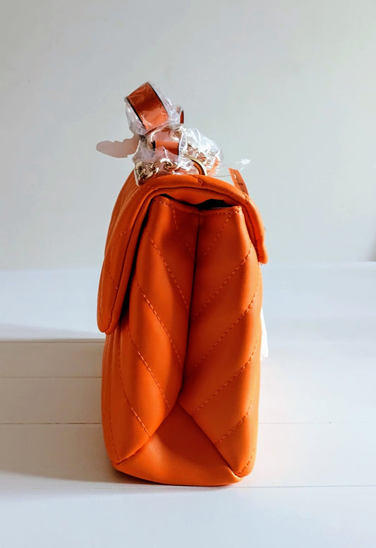 ALDO BAG/SAC